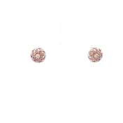 The Angligle Stud Earrings - thumb 2