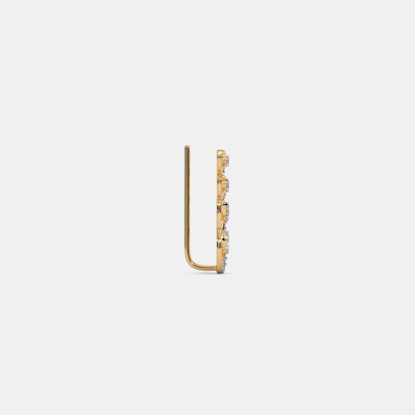 The Chrisley Ear Climbers - image 7