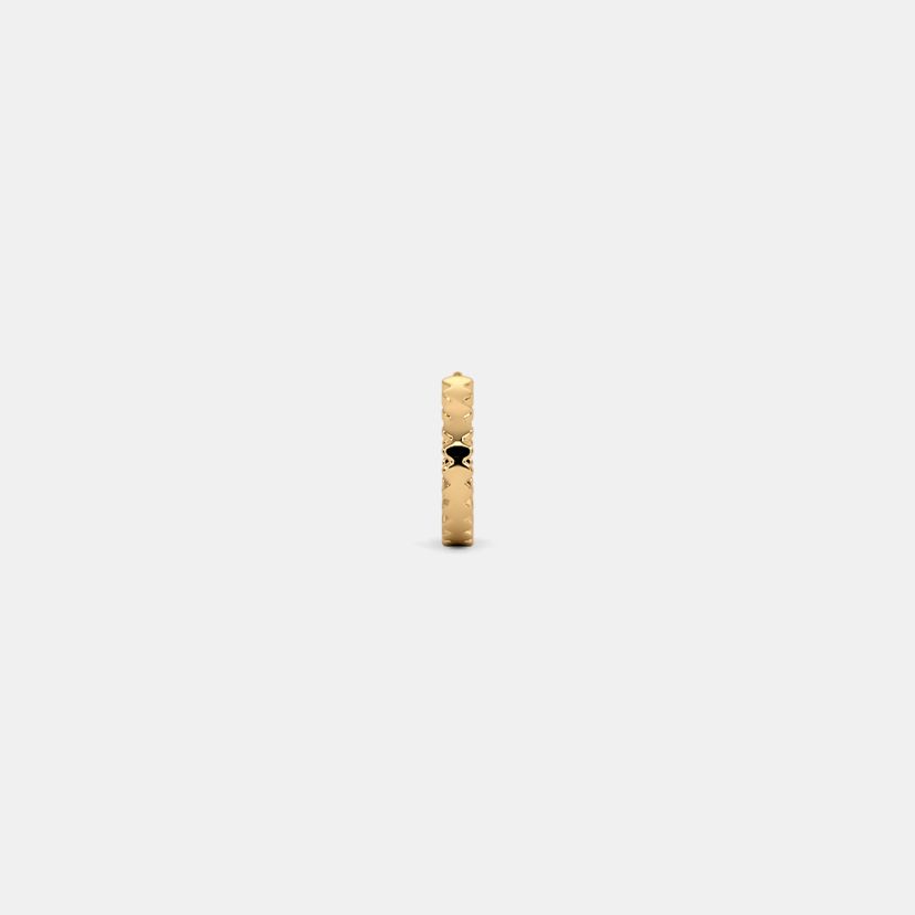 The Jinarae Nose Ring - image 5